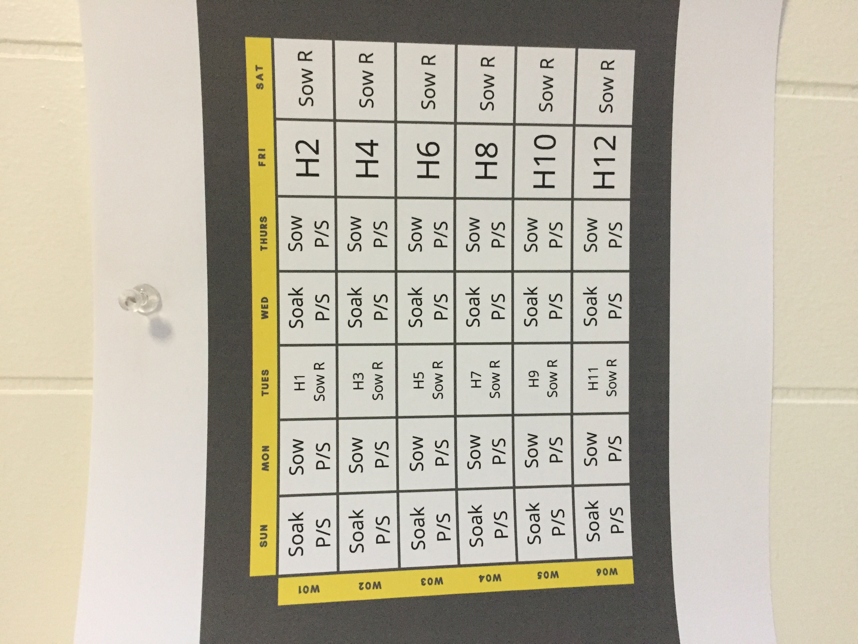 Piedmont Microgreens’s First Crop Planning Chart