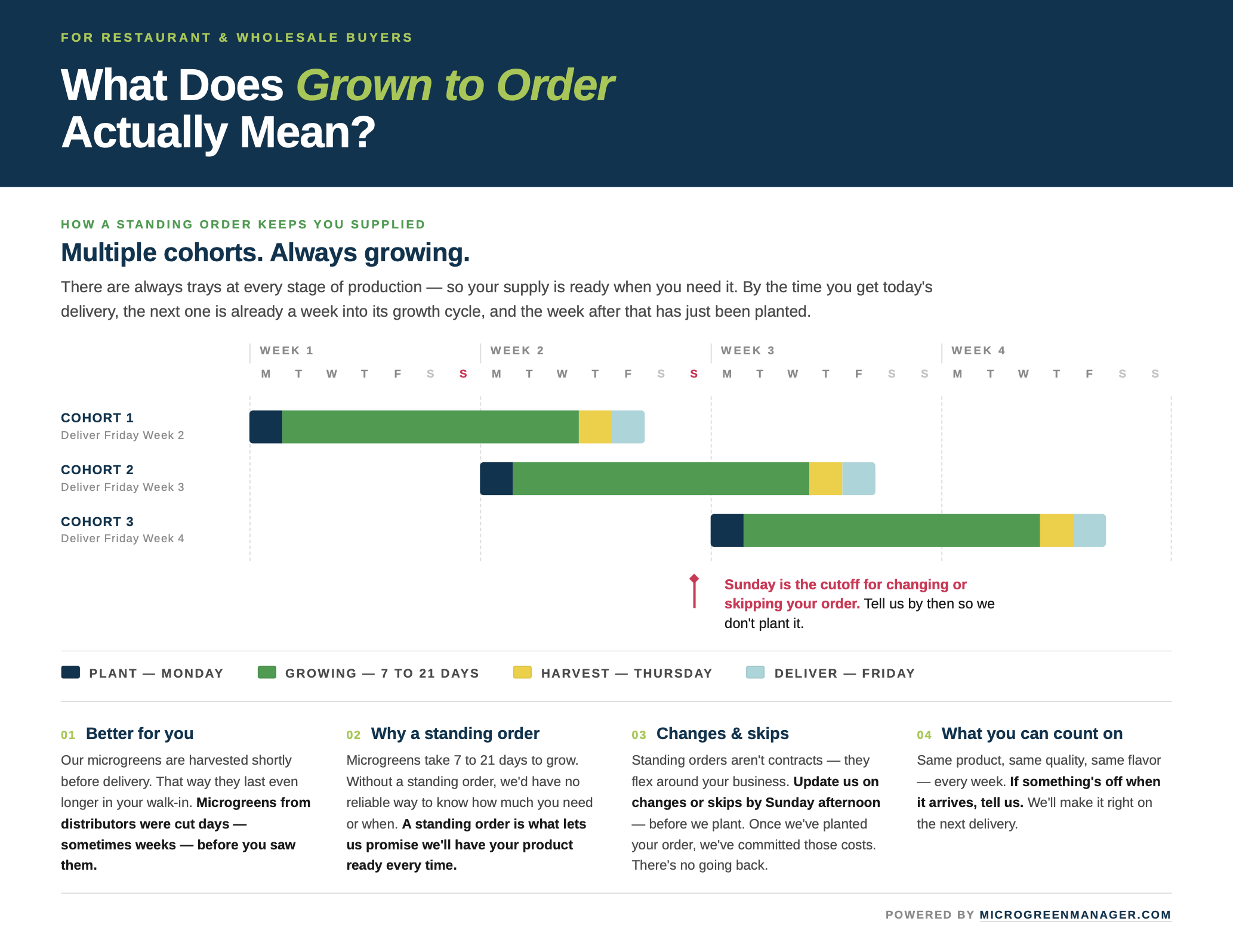 explaining-grown-to-order-34fe390f-3c99-807c-82a2-e6e8f0b93ac1.png