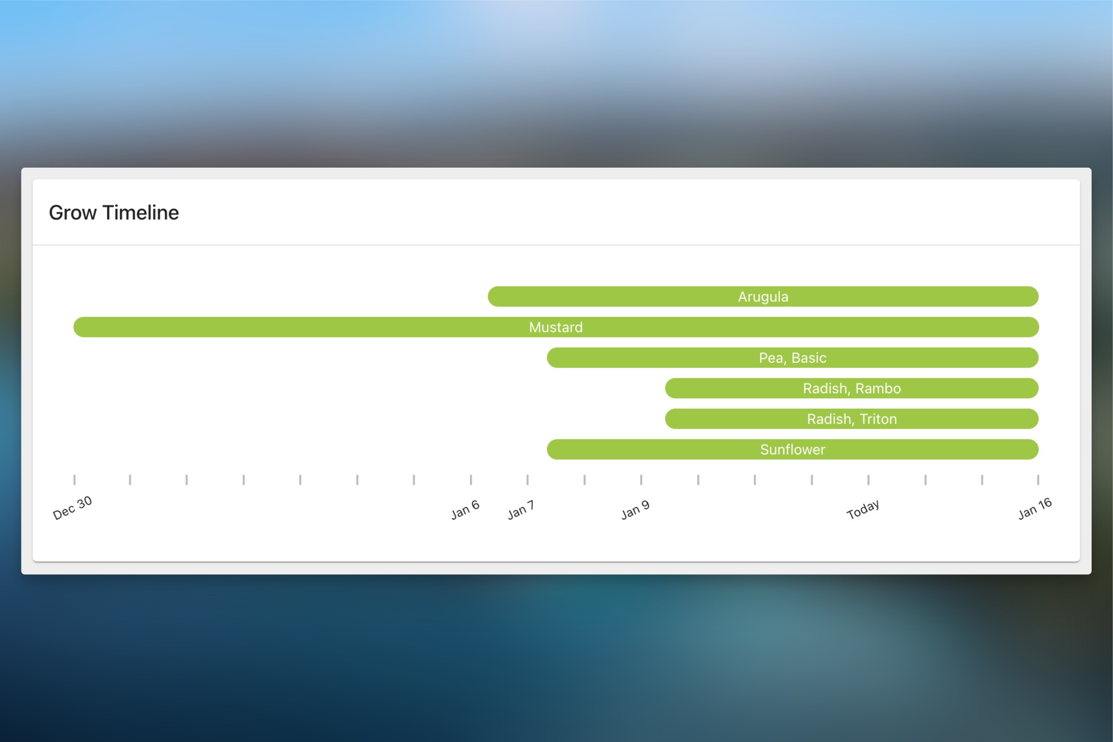 Microgreen Manager screenshot showing a grow timeline for a single order