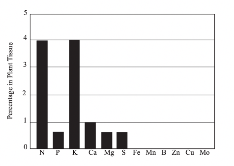 microgreen-plant-nutrients-and-fertilizer-labels-10f385d9-9ad4-801a-83ba-d6d5499195bb.png