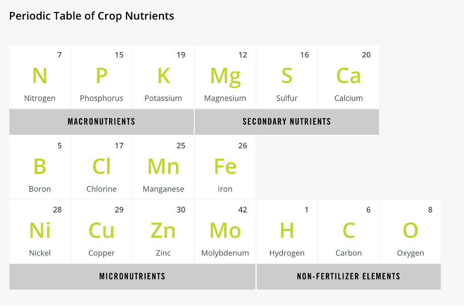 microgreen-plant-nutrients-and-fertilizer-labels-10f385d9-9ad4-80c1-a002-c37df00a77cb.png