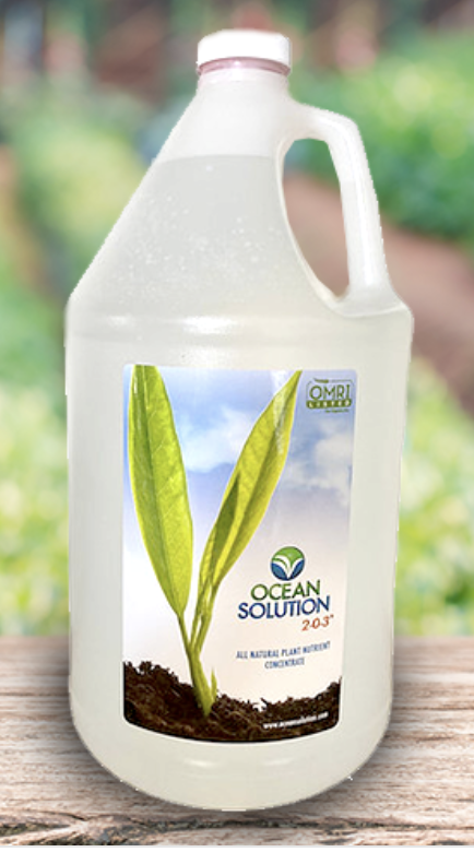 microgreen-plant-nutrients-and-fertilizer-labels-22be390f-3c99-811f-8a3e-e08ab3a44fa1.png