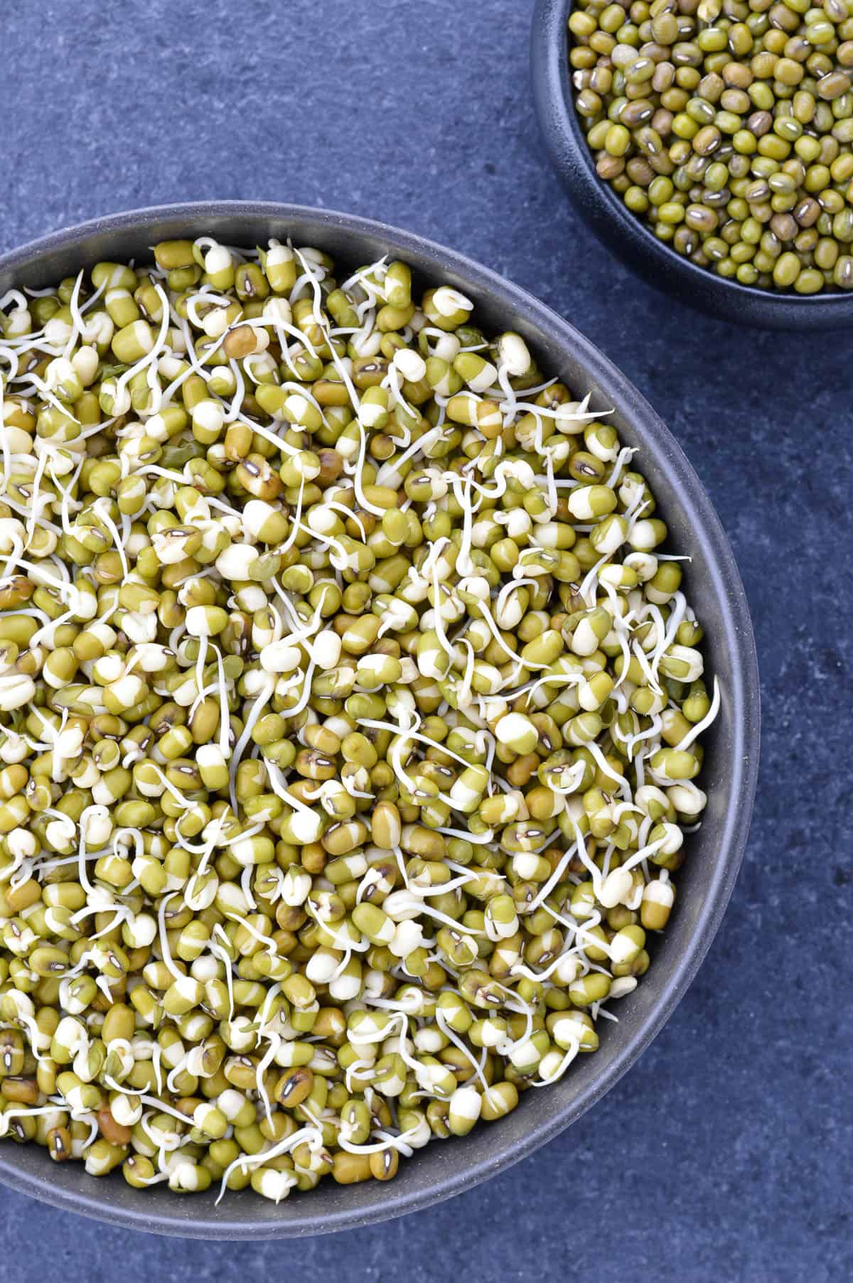 Sprouts in a bowl