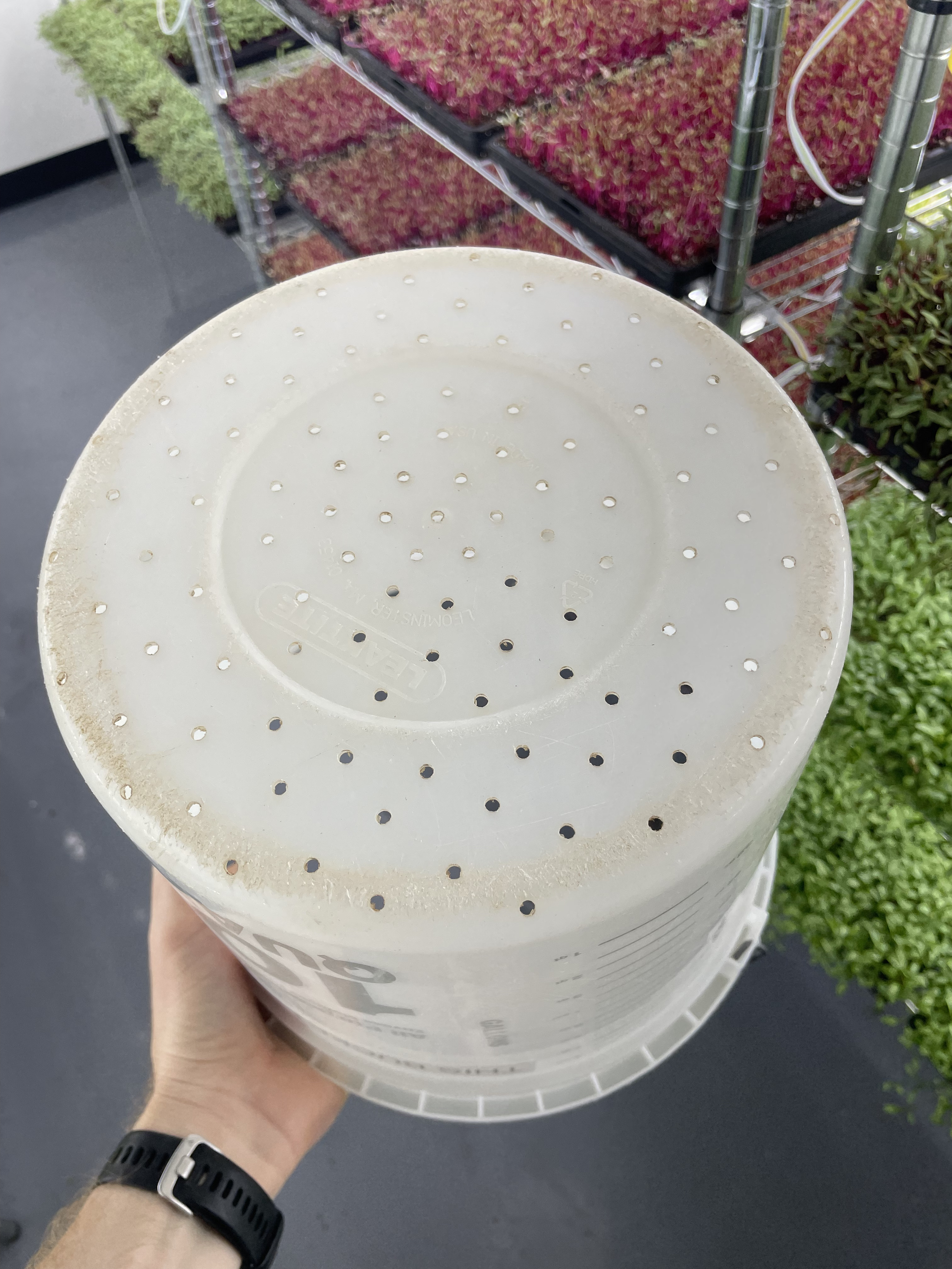 The Double Bucket System: Holes Small Enough to Prevent Seed Loss