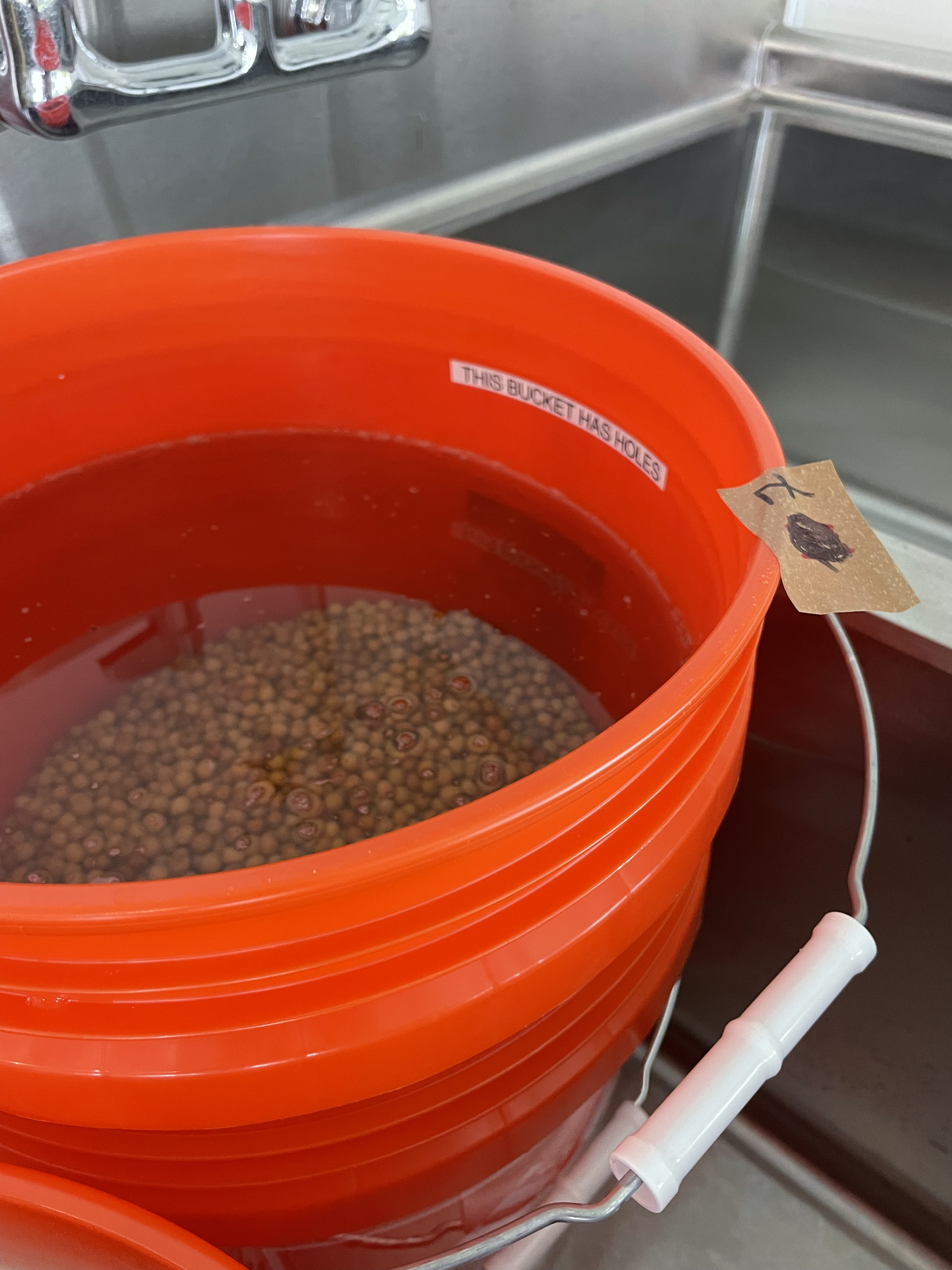 The Double Bucket System: One Bucket with Holes Inside Another Bucket without Holes